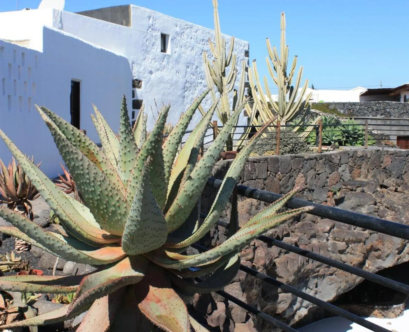 Casa Rural Finca Isabel Mozaga